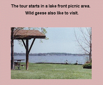laketourwest.gif (280497 bytes)