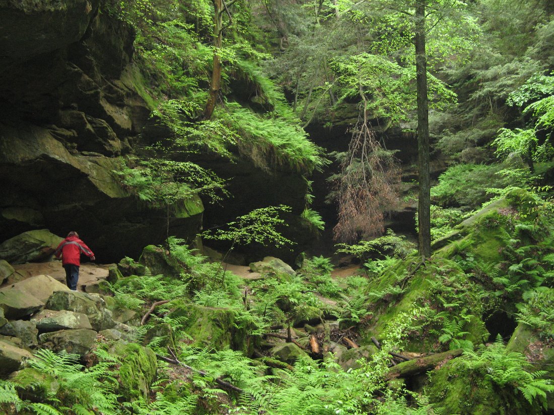 Beyond the handicap accessoble trail leaking to the primary water falls of Conkle's Hollow.